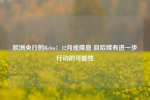 欧洲央行的Rehn：12月或降息 且后续有进一步行动的可能性