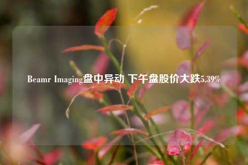 Beamr Imaging盘中异动 下午盘股价大跌5.39%