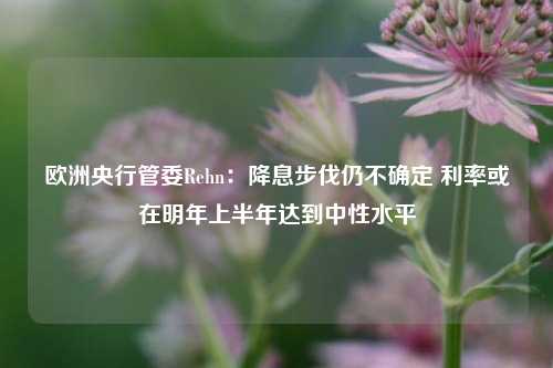 欧洲央行管委Rehn：降息步伐仍不确定 利率或在明年上半年达到中性水平