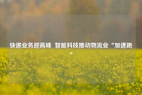 快递业务迎高峰  智能科技推动物流业“加速跑”