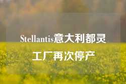 Stellantis意大利都灵工厂再次停产-第1张图片-利辛优赛建筑工程有限公司